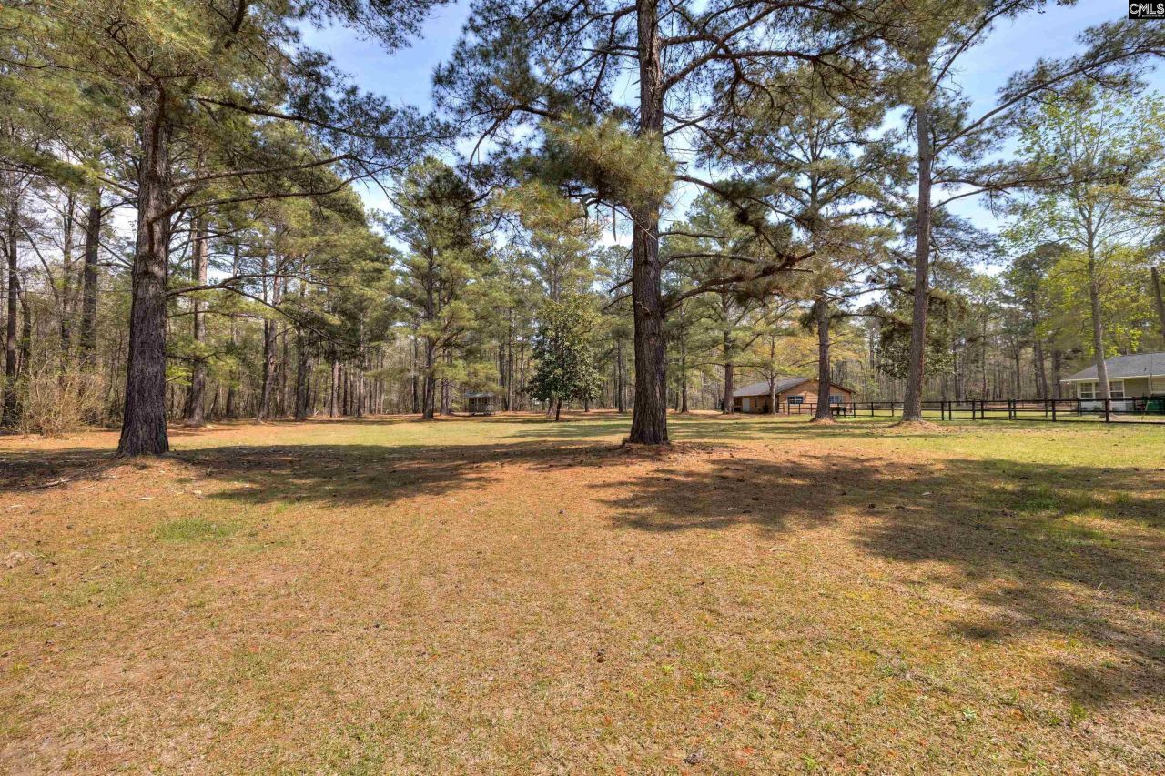 2341 Old Whites Mill Road Photo 59