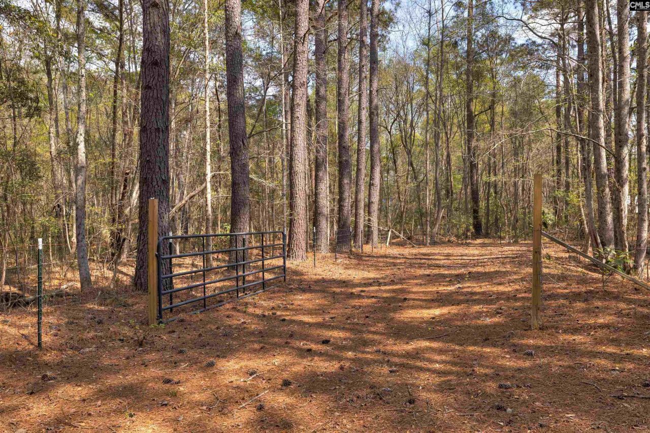 2341 Old Whites Mill Road Photo 61