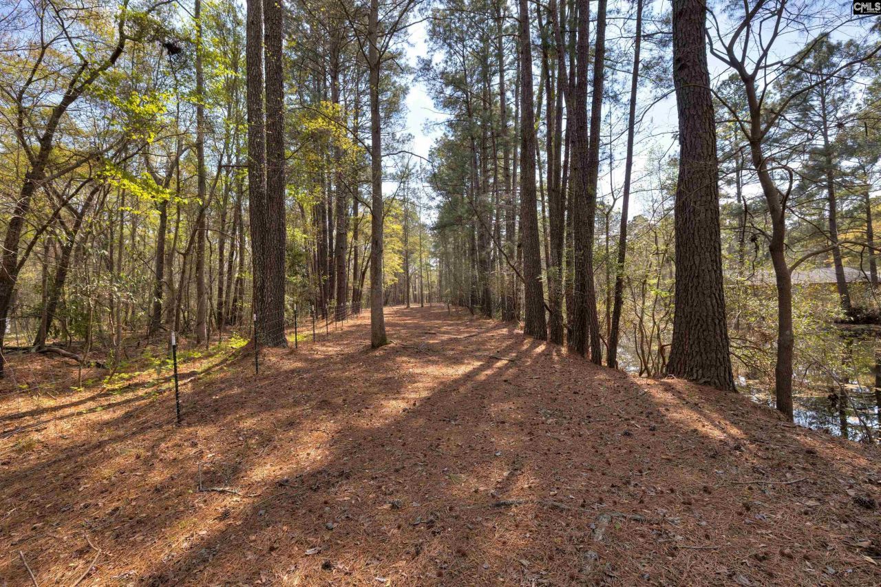 2341 Old Whites Mill Road Photo 62