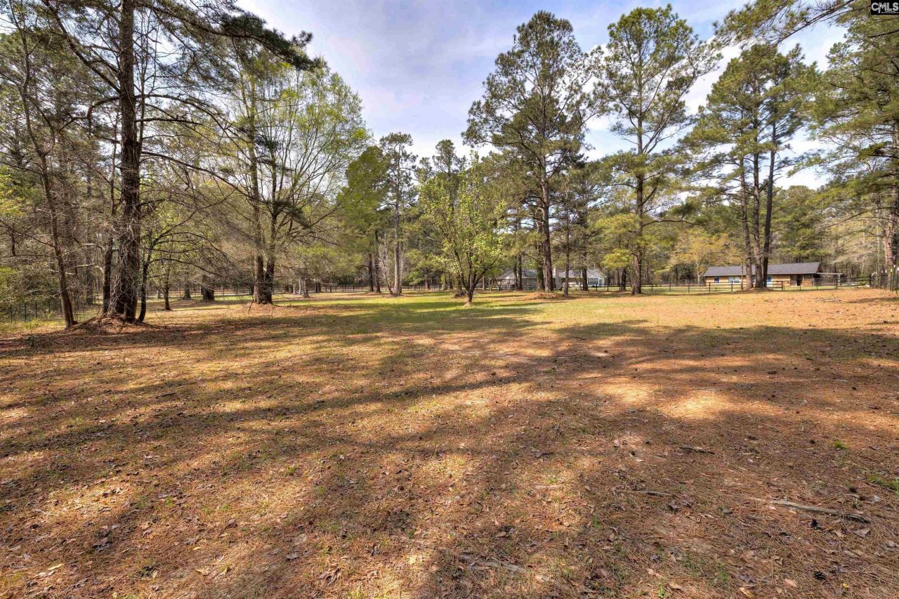 2341 Old Whites Mill Road Photo 64