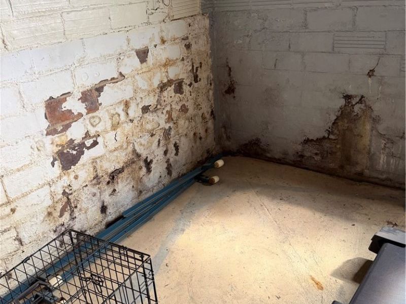 2228 E 30th Street , Lorain, OH 44055 Photo 12