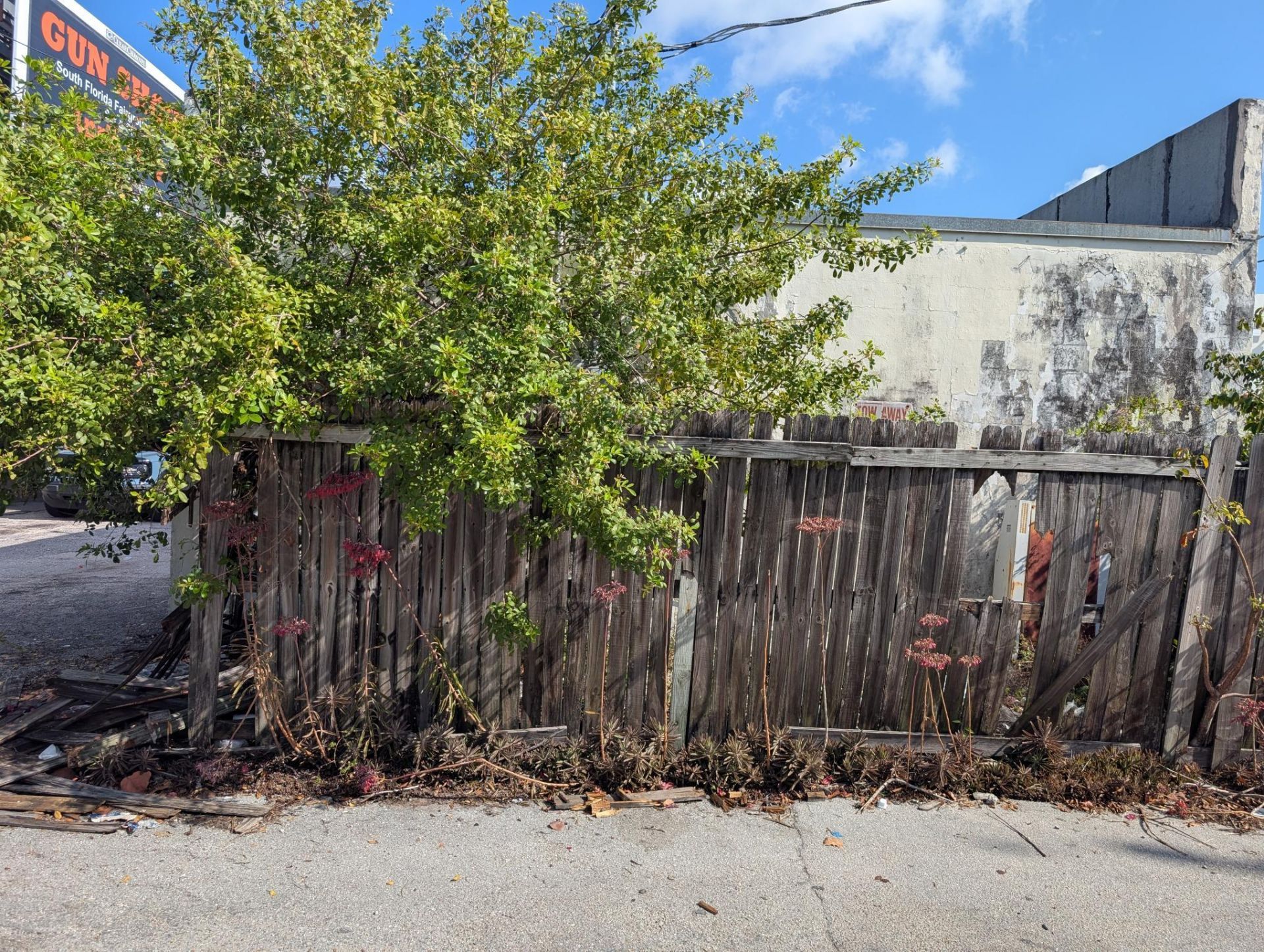 734 Belvedere Road, West Palm Beach, FL 33422 Photo