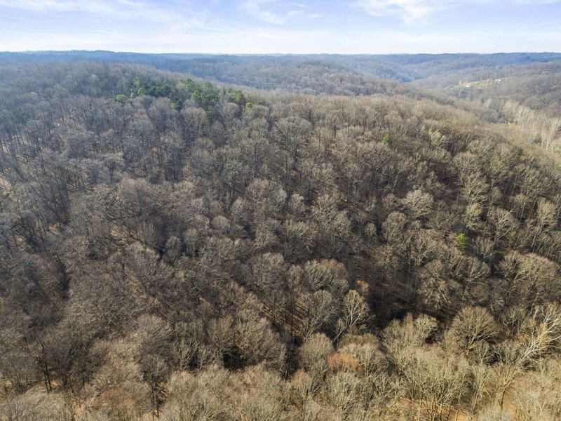 23972 Brown Road, Unit Lot 7, South Bloomingville, OH 43152 Photo 11