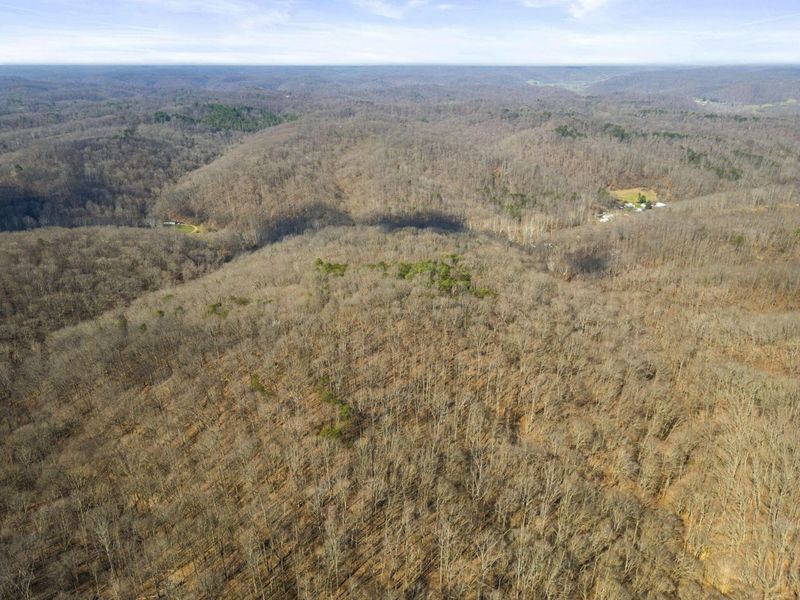 23972 Brown Road, Unit Lot 7, South Bloomingville, OH 43152 Photo 20