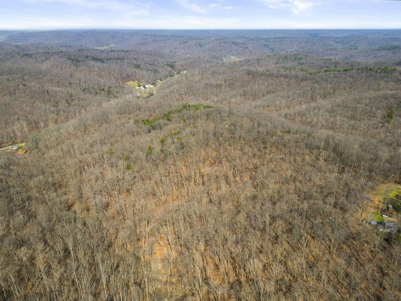 23972 Brown Road, Unit Lot 7, South Bloomingville, OH 43152 Photo 27