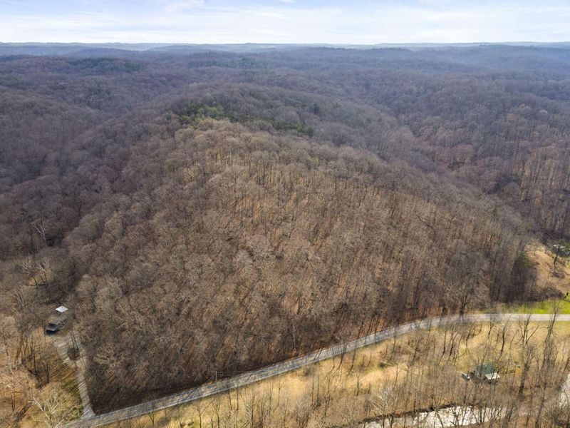 23972 Brown Road, Unit Lot 7, South Bloomingville, OH 43152 Photo 37