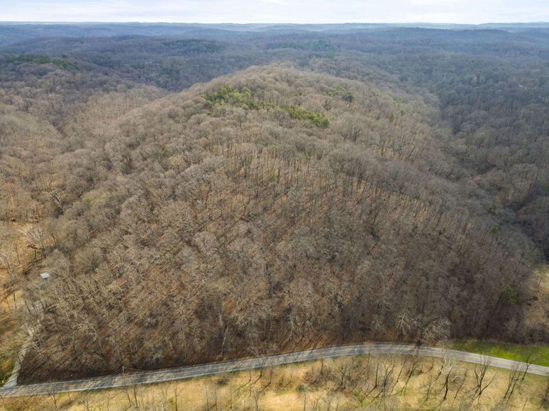 23972 Brown Road, Unit Lot 7, South Bloomingville, OH 43152 Photo 38