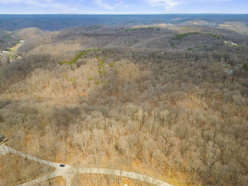 23972 Brown Road, Unit Lot 7, South Bloomingville, OH 43152 Photo 42