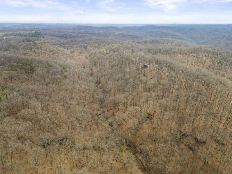 23972 Brown Road, Unit Lot 7, South Bloomingville, OH 43152 Photo 50