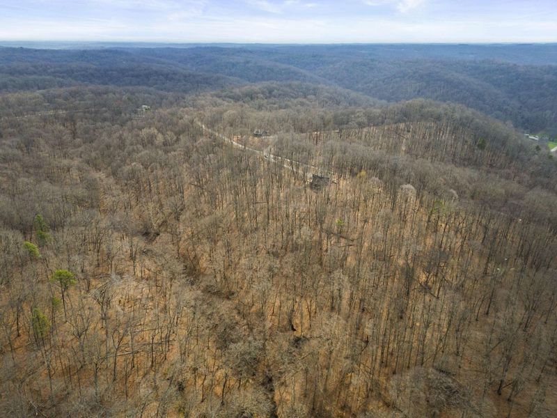 23972 Brown Road, Unit Lot 7, South Bloomingville, OH 43152 Photo 52