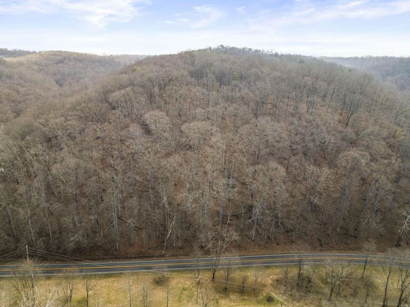 23972 Brown Road, Unit Lot 7, South Bloomingville, OH 43152 Photo 6