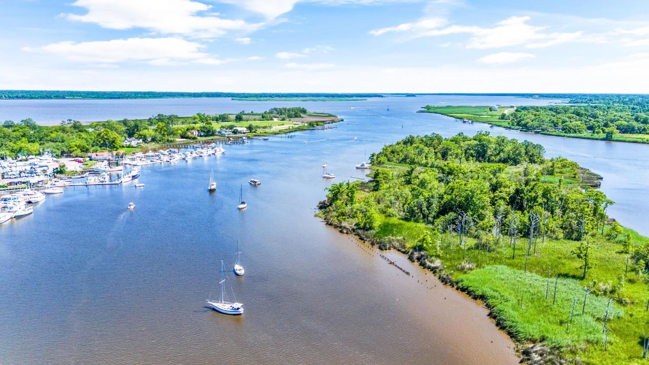 815 Front St. Photo 51