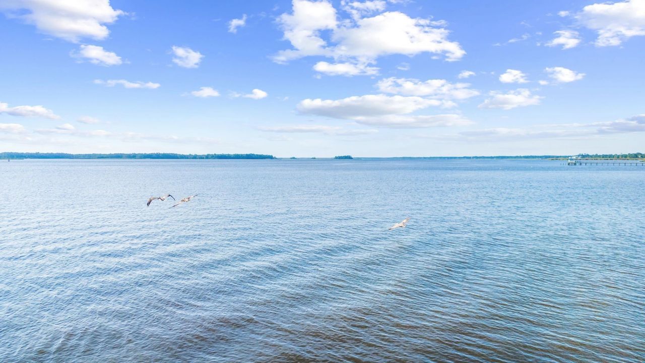 815 Front St. Photo 53