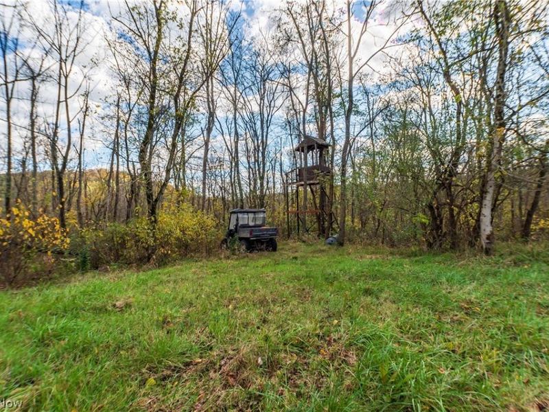 59501 Nevada Road , Quaker City, OH 43773 Photo 41