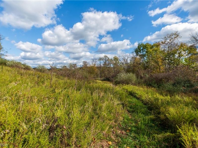 59501 Nevada Road , Quaker City, OH 43773 Photo 44