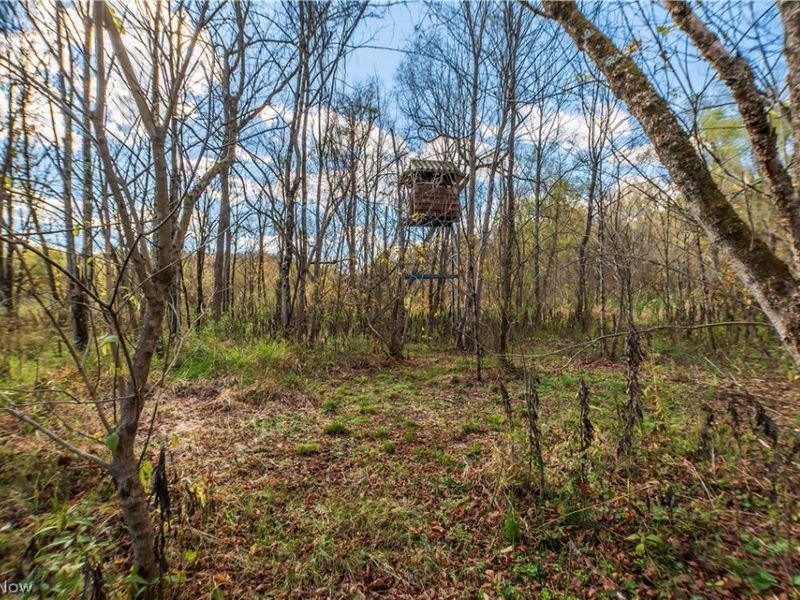 59501 Nevada Road , Quaker City, OH 43773 Photo 45