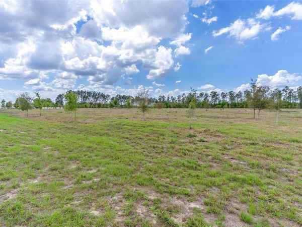 SE 170TH AVENUE , WEIRSDALE, FL 32195