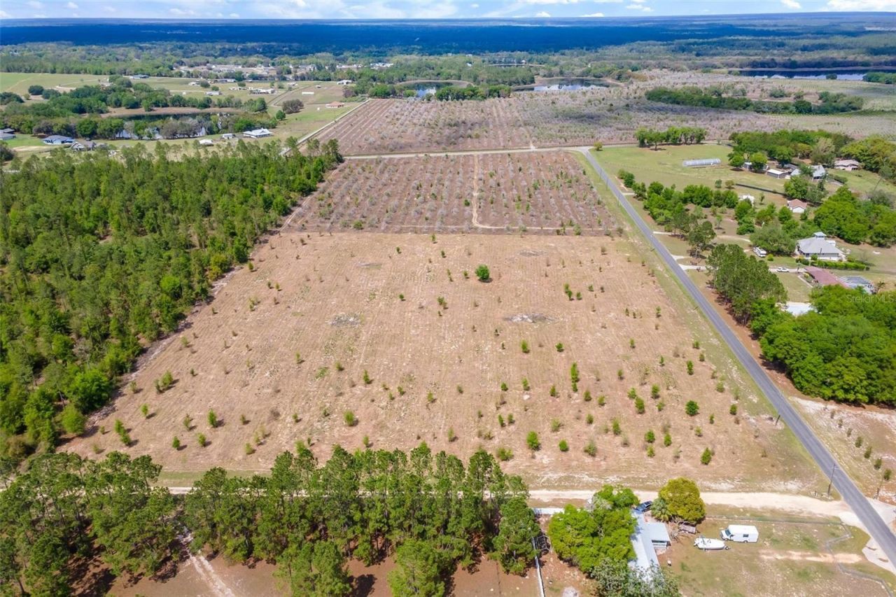 Se 170th Avenue, Weirsdale, FL 32195 Photo