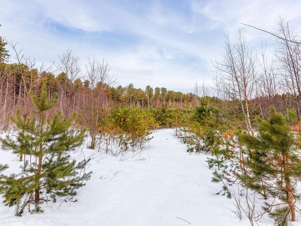 3219 Nugent Road, Frankfort, MI 49635