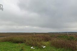 1938 Sol Legare Road photo 4