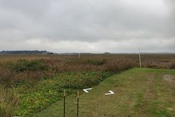 1938 Sol Legare Road photo 4