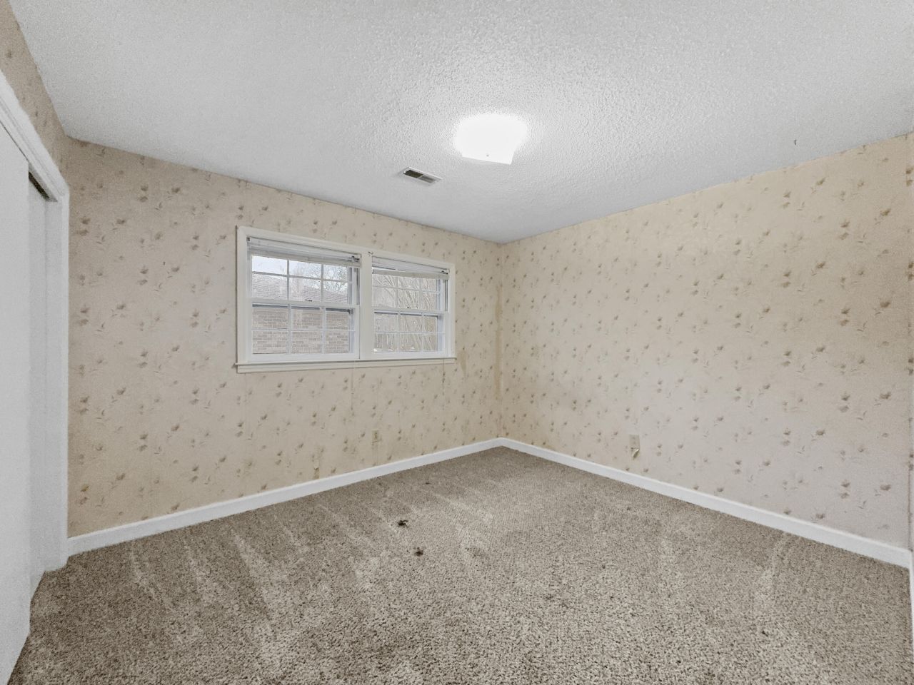 4341 Helene Drive Photo 23