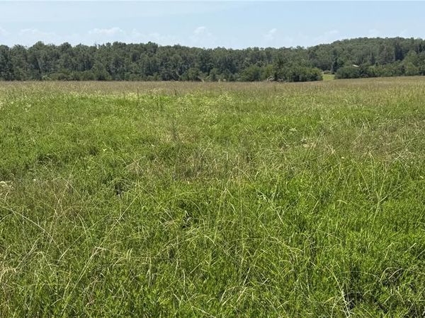 1 Ripley Z-4, Gatewood, MO 63942