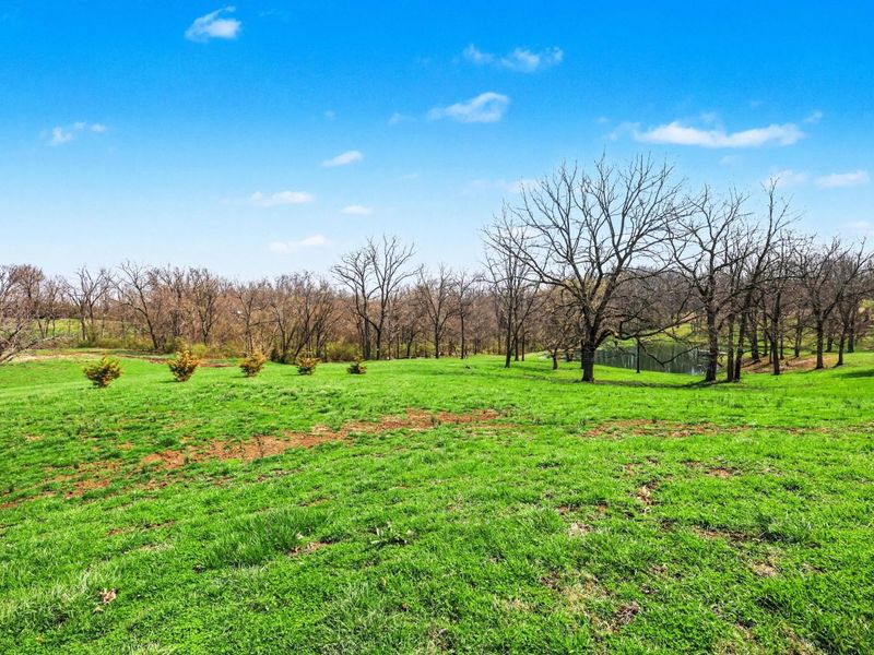 11311 Staffordsburg Road, Independence, KY 41051 Photo 24