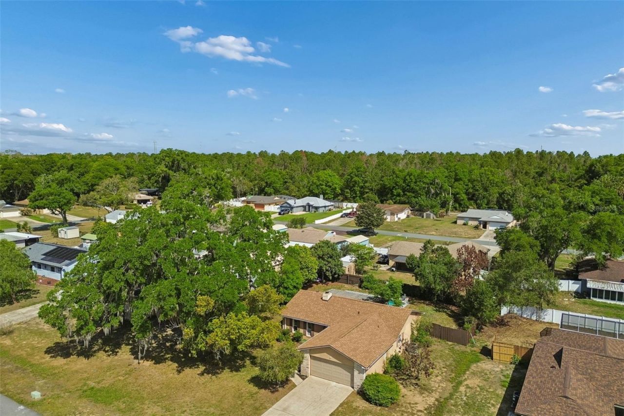 13635 Berkshire Court, Grand Island, FL 32735 Photo