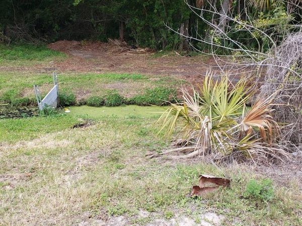 GROSSE AVENUE, TARPON SPRINGS, FL 34689