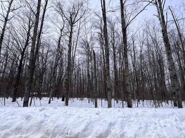 Lot 347 Pine Grove Drive, Elmira, MI 49730