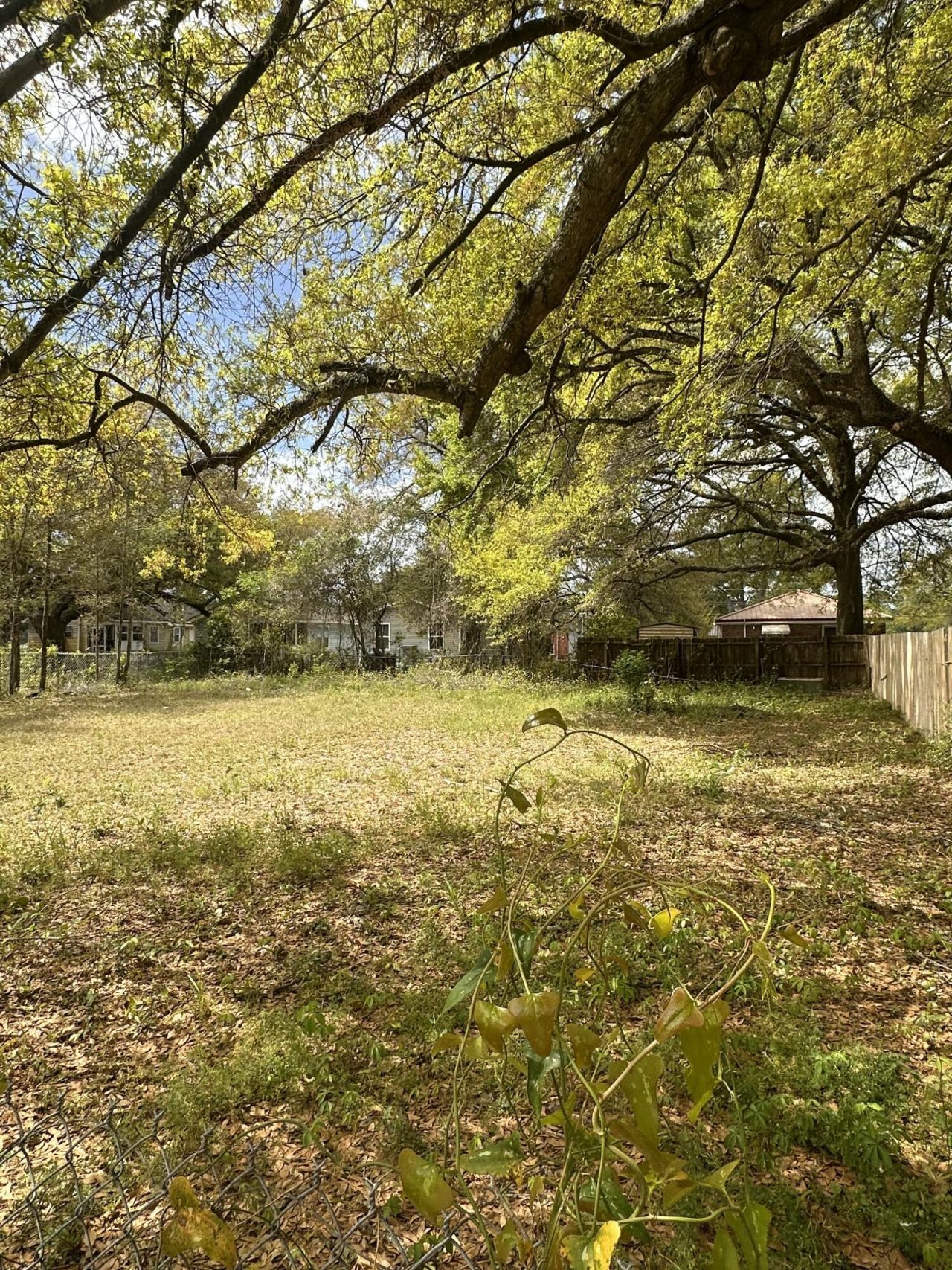 2670 Henry Street Photo 4