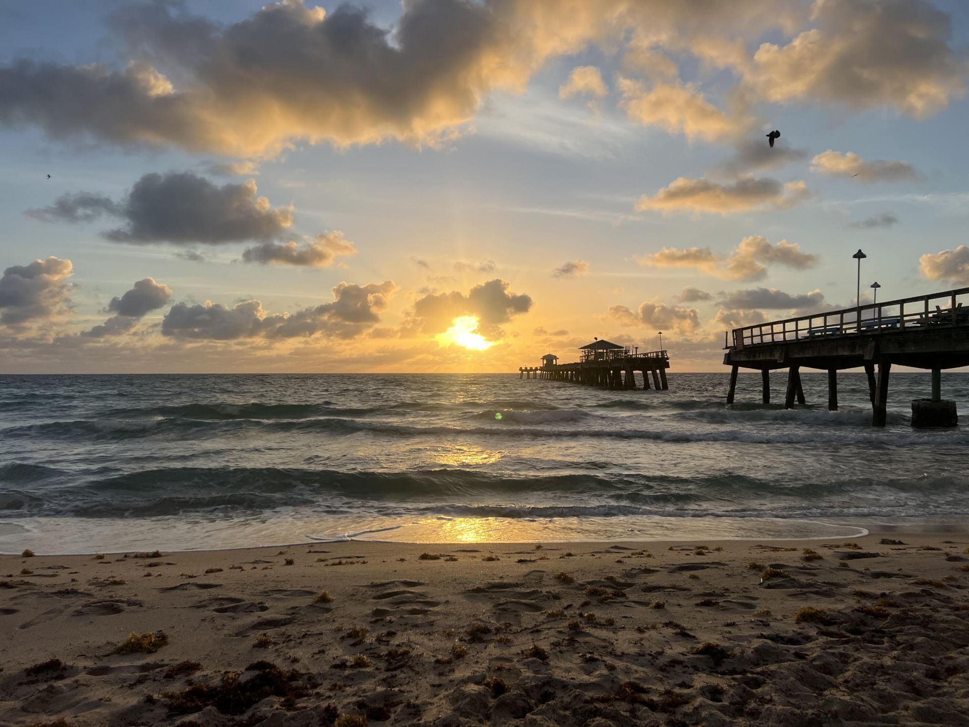5208 NE 24th Terrace, Unit F124, Fort Lauderdale, FL 33308 Photo