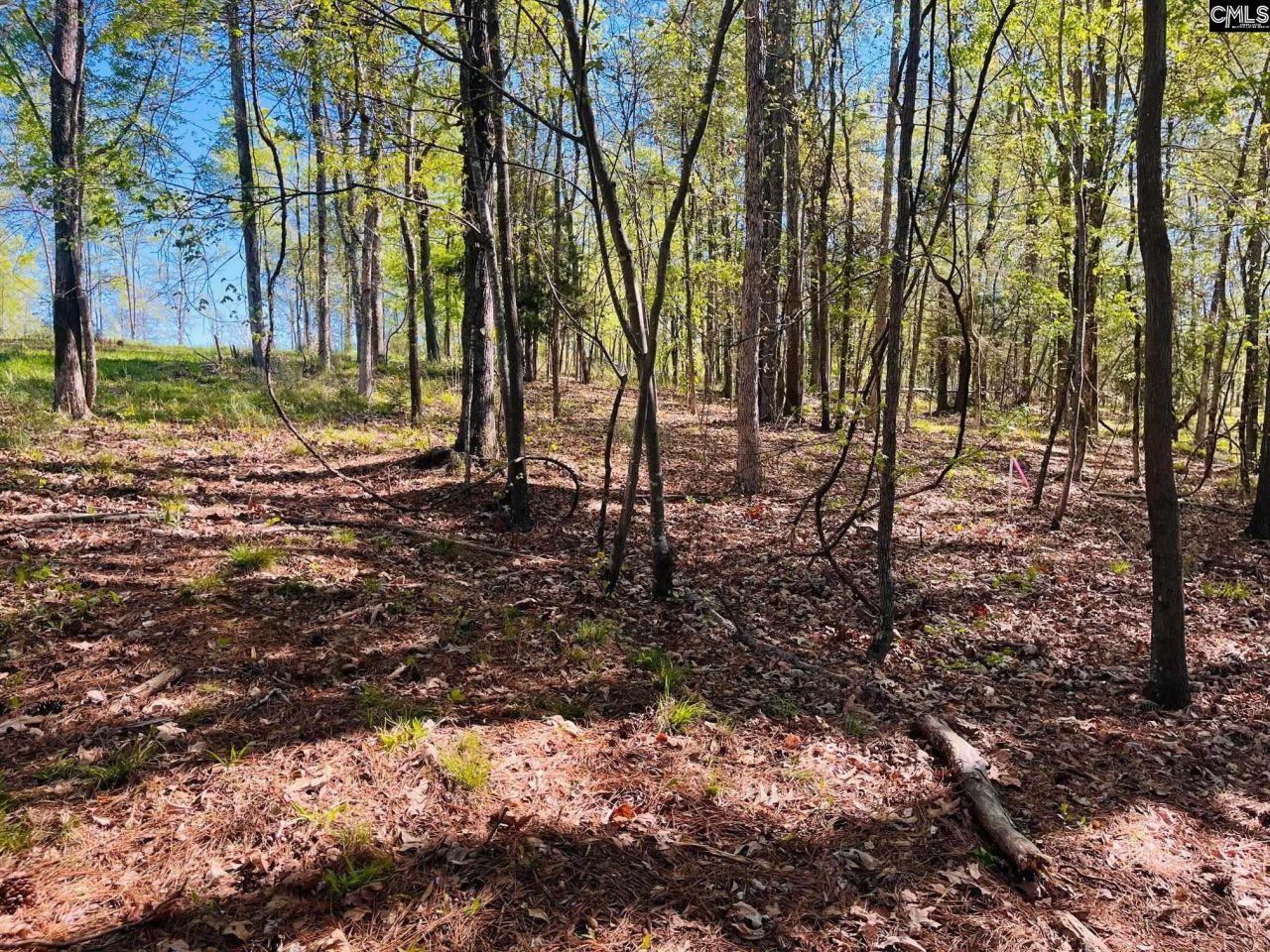 0 Lands End Lane  Photo 11