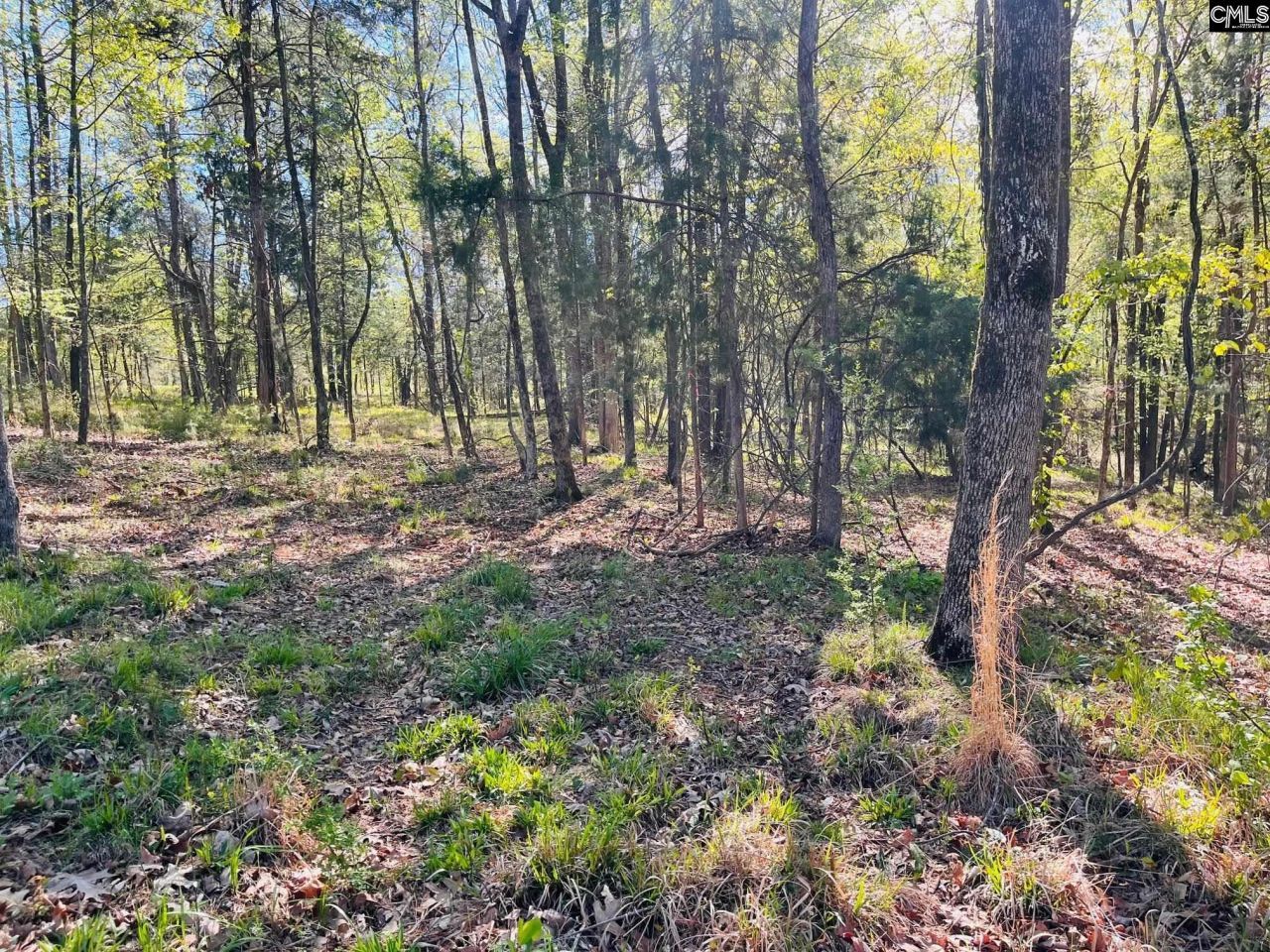 0 Lands End Lane  Photo 12