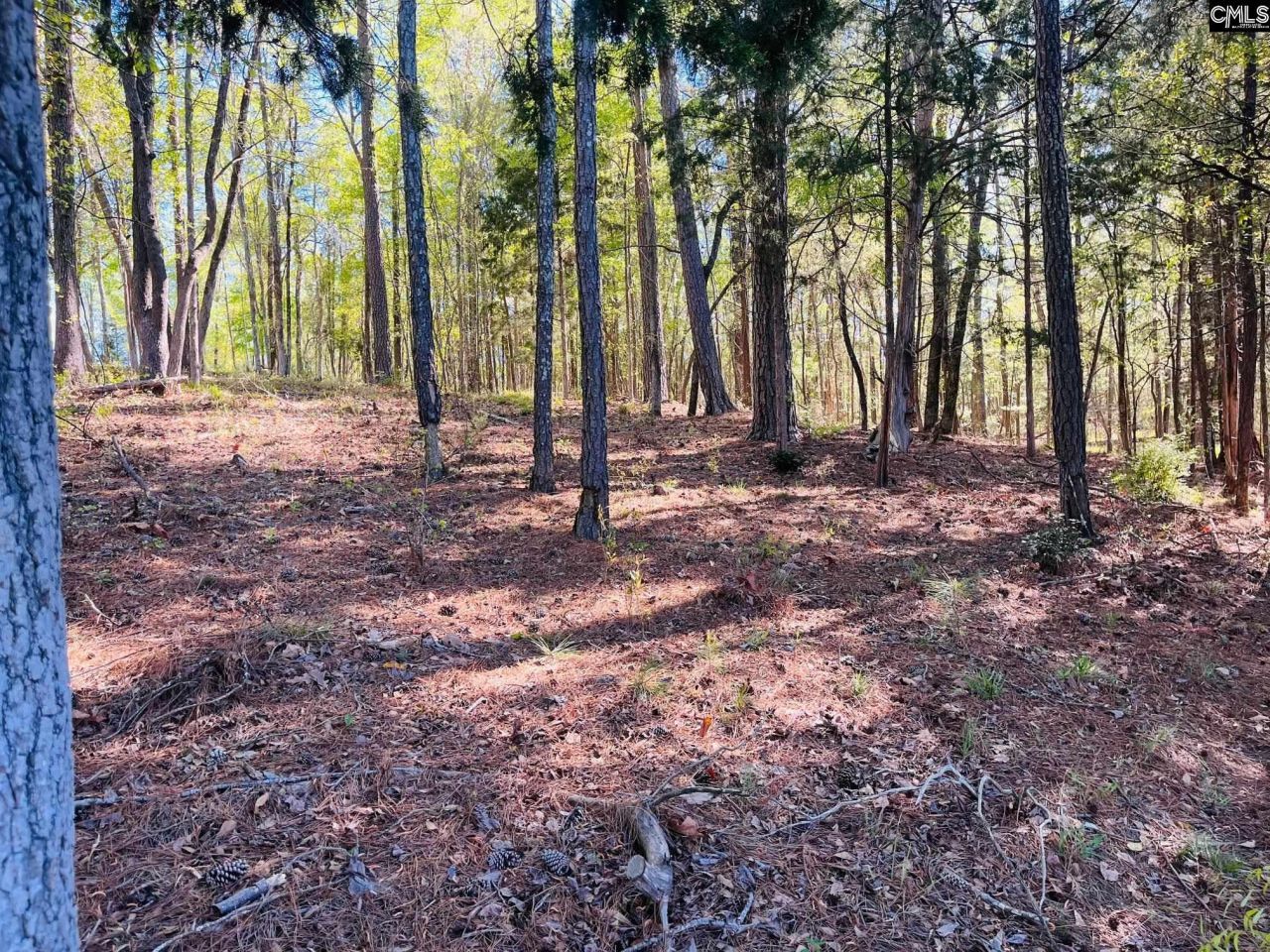 0 Lands End Lane  Photo 13