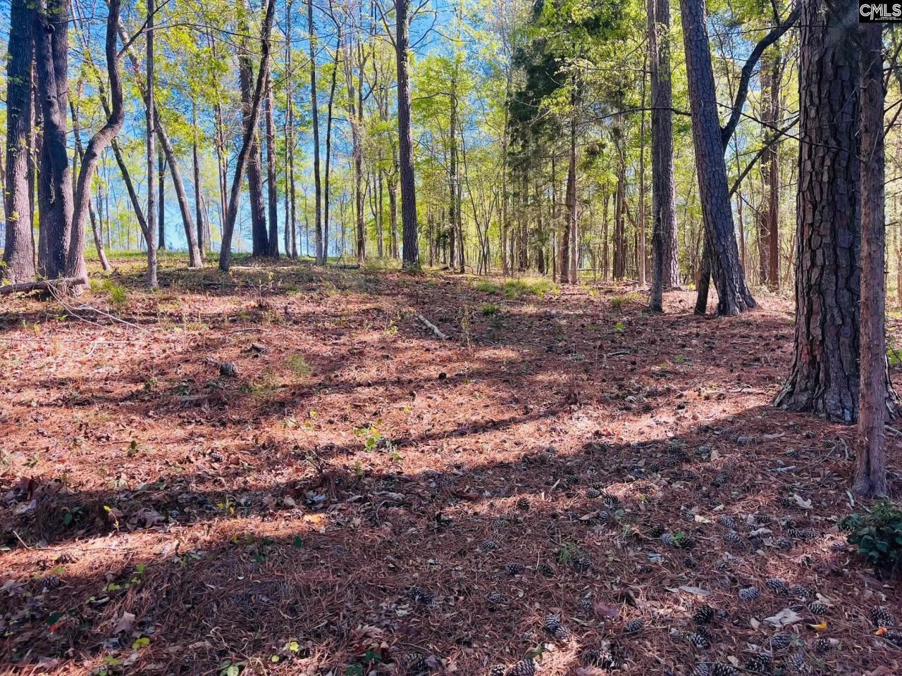 0 Lands End Lane  Photo 14