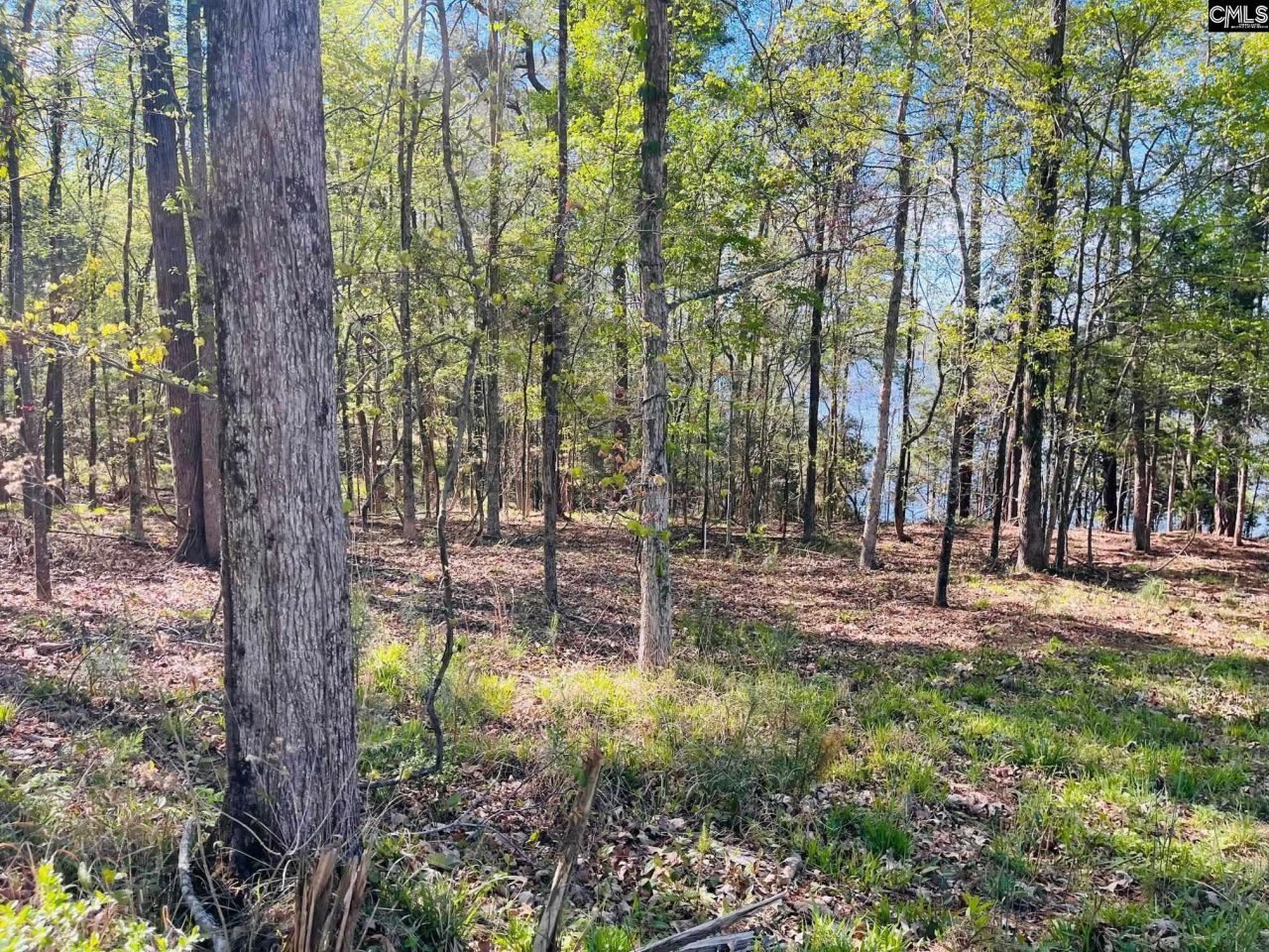 0 Lands End Lane  Photo 15