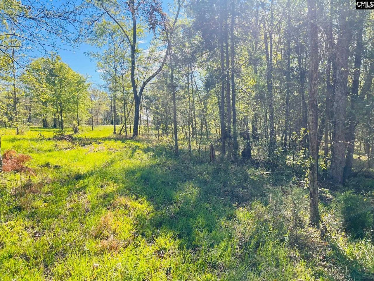 0 Lands End Lane  Photo 9