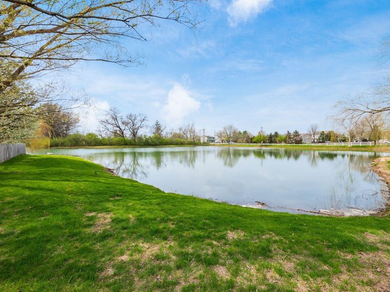 546 Dowling Avenue, Ashville, OH 43103 Photo 31