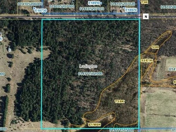 45.3 Acres Cty Hwy N, Fall Creek, WI 54742