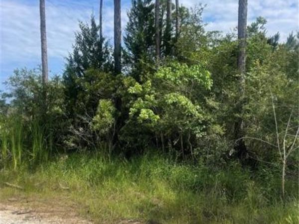 3739 Washington Road , Coden, AL 36523