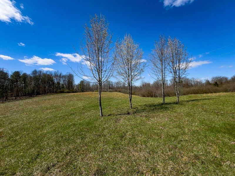 6880 Shaver Road , Blue Rock, OH 43720 Photo 11