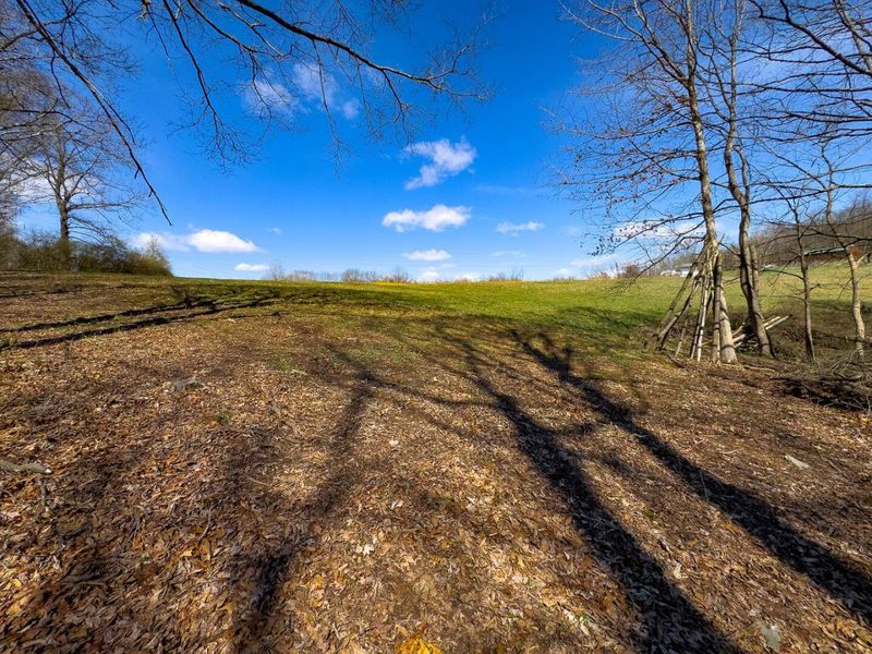 6880 Shaver Road , Blue Rock, OH 43720 Photo 22