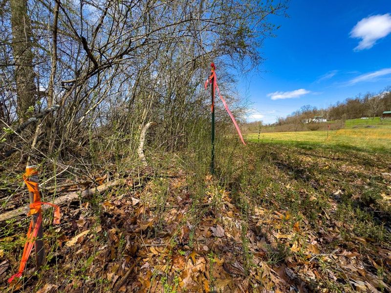 6880 Shaver Road , Blue Rock, OH 43720 Photo 25