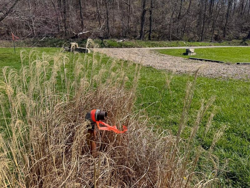 6880 Shaver Road , Blue Rock, OH 43720 Photo 31