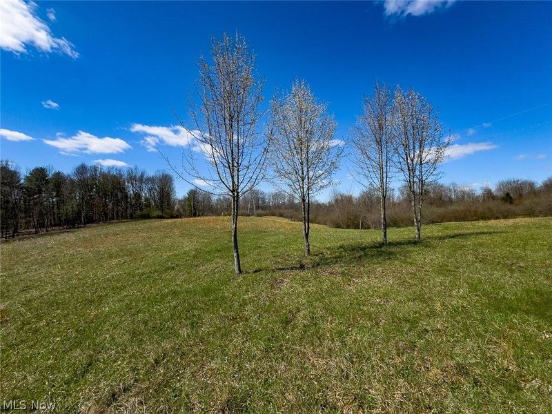 6880 Shaver Road , Blue Rock, OH 43720 Photo 11