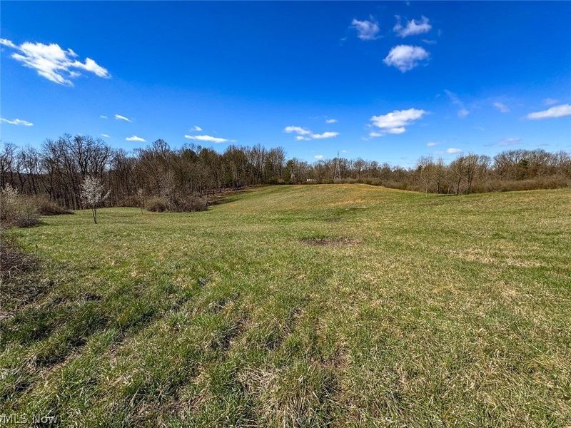 6880 Shaver Road , Blue Rock, OH 43720 Photo 13