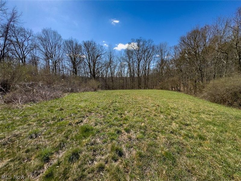 6880 Shaver Road , Blue Rock, OH 43720 Photo 17