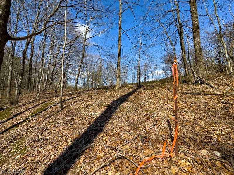 6880 Shaver Road , Blue Rock, OH 43720 Photo 19